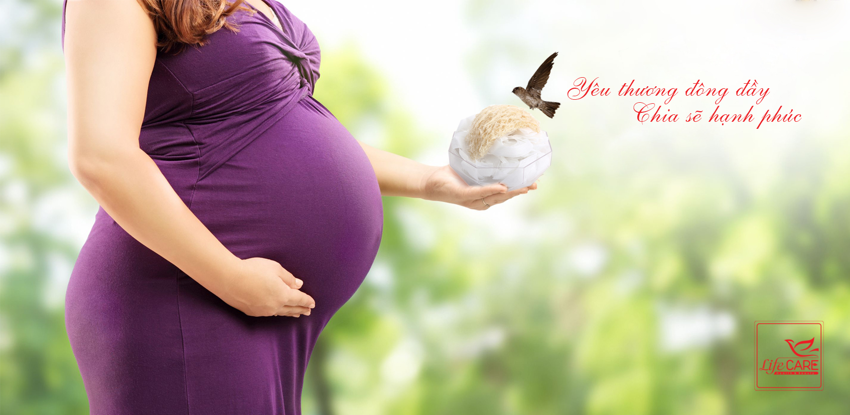 Ăn tổ yến như thế nào đúng cách?